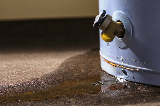 Best Water damage cleanup near me  in Heritage Lake, IL