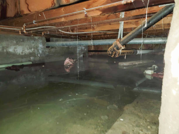 Best Water damage repair service  in Heritage Lake, IL