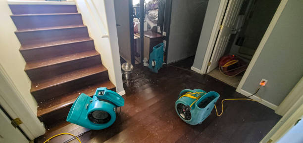 Best Water damage restoration company  in Heritage Lake, IL