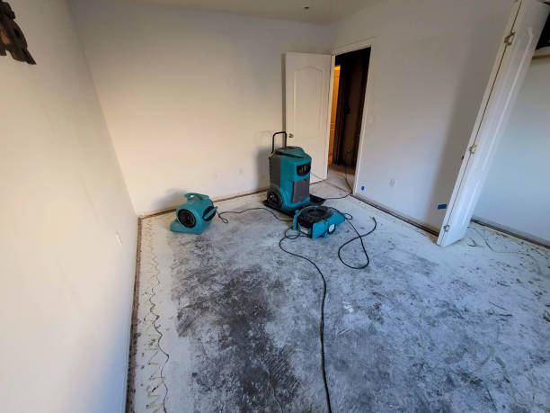 Best Water damage restoration specialists  in Heritage Lake, IL