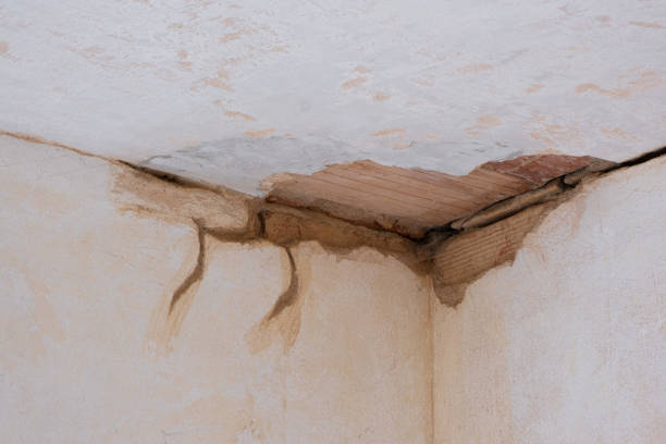 Best Professional water damage repair  in Heritage Lake, IL
