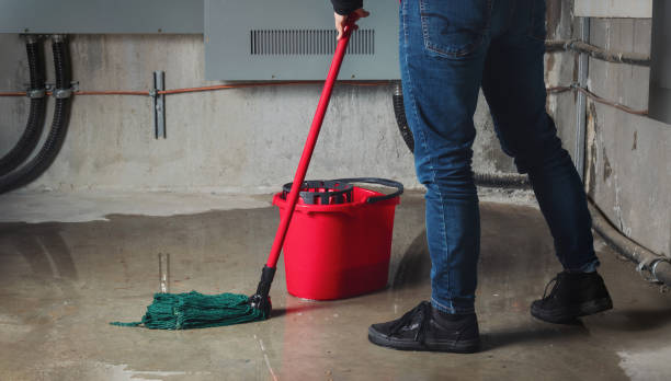 Best Water damage contractors near me  in Heritage Lake, IL